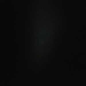 Meet your Posher, Rita